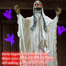 Load image into Gallery viewer, ZH00676873
