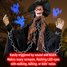 Load image into Gallery viewer, ZH00676873
